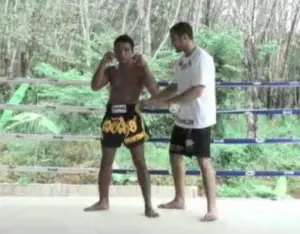 Square Muay Thai Stance