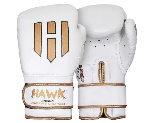 5 Hawk Boxing Gloves