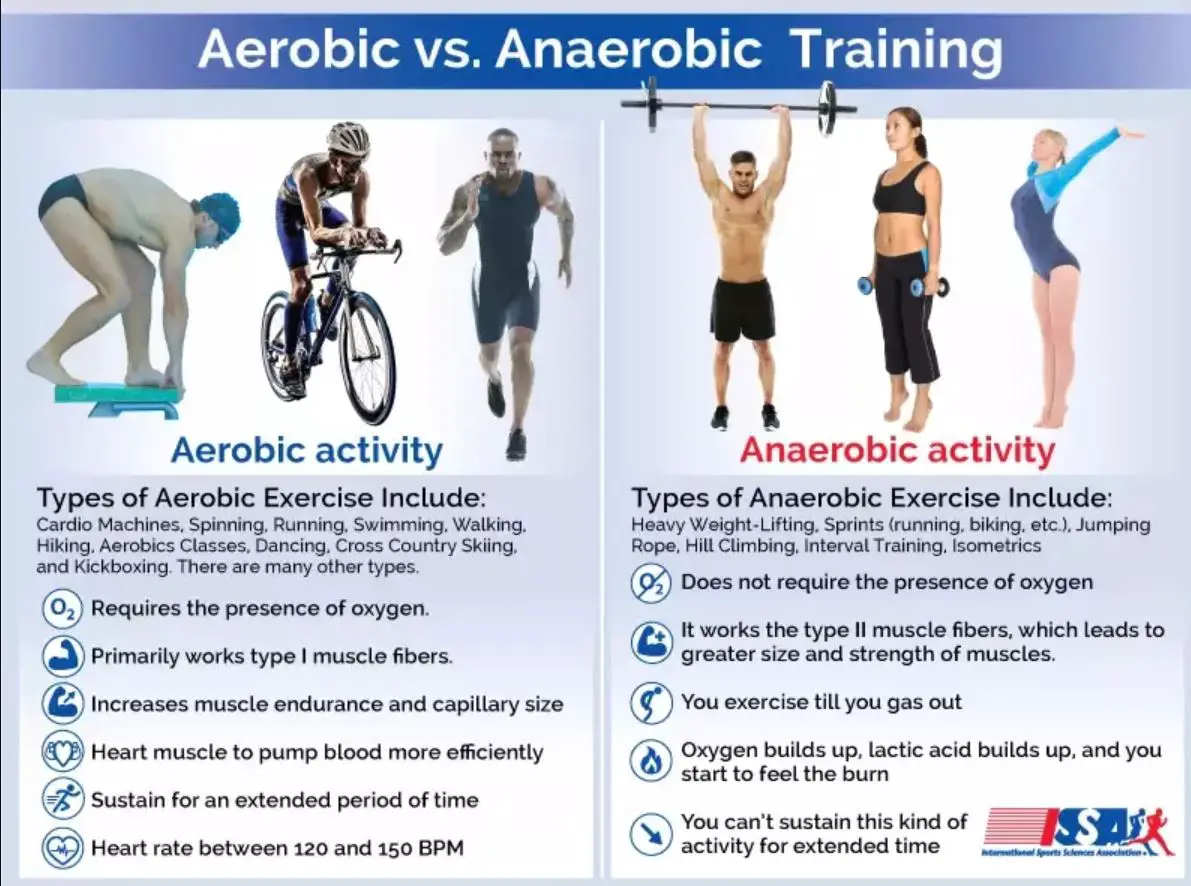 Aerobic vs Anaerobic Systems