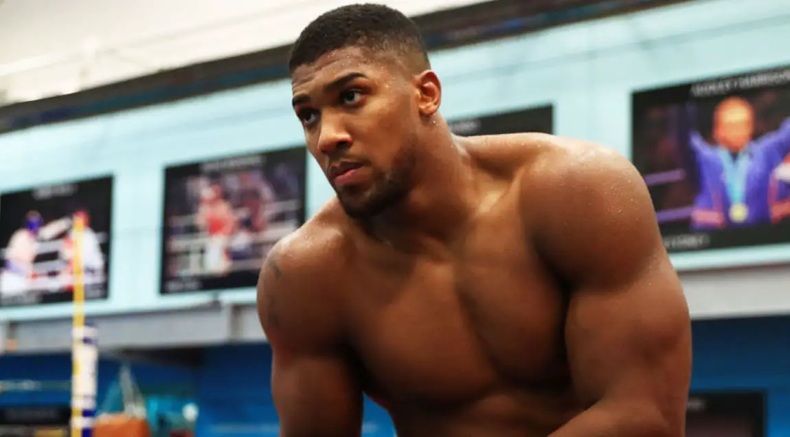 Anthony Joshua Shoulders