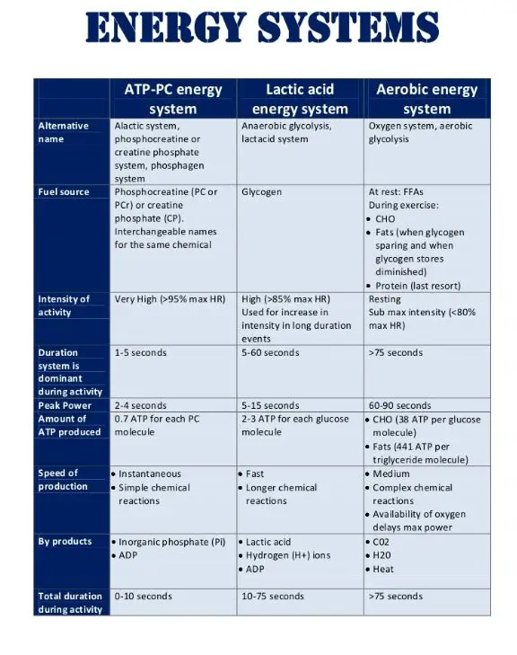 Bodies Energy Systems 2