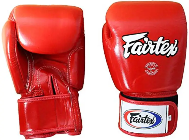 Fairtex Boxing Gloves