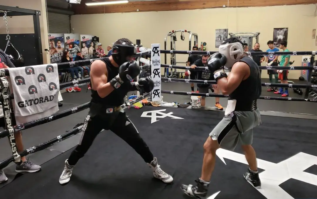 boxing sparring