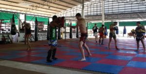 How Many Days A Week Should You Train Muay Thai