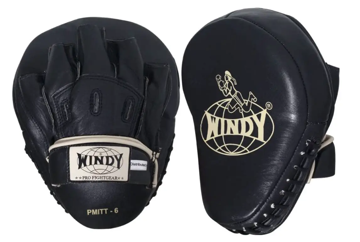 Windy Boxing Mitts